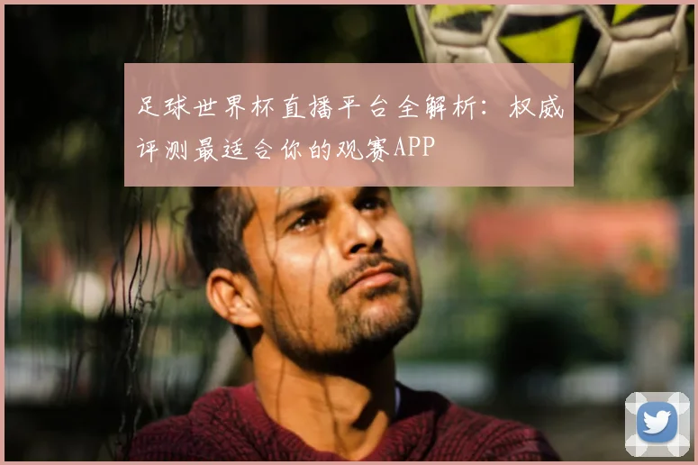 足球世界杯直播平台全解析：权威评测最适合你的观赛APP